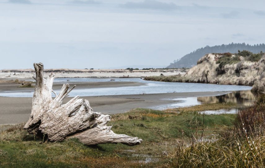 Griffiths-Priday State Park, Washington, USA